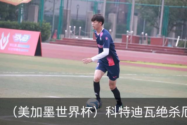 （美加墨世界杯）科特迪瓦绝杀厄瓜多尔 瑞典5:1大胜突尼斯