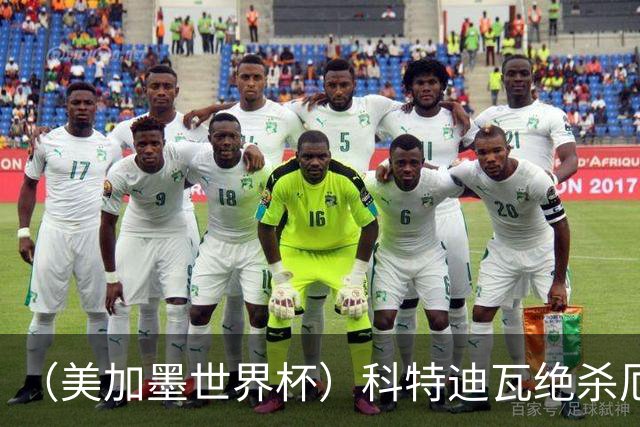 （美加墨世界杯）科特迪瓦绝杀厄瓜多尔 瑞典5:1大胜突尼斯
